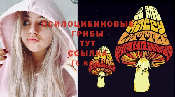 кокс Покачи