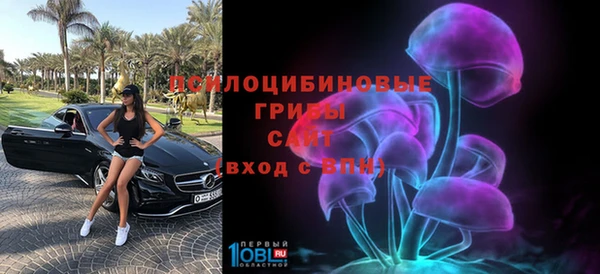 кокс Покачи