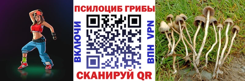 Купить закладки  Пустошка  Галлюциногенные грибы MAGIC MUSHROOMS 