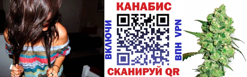 Купить закладки  Пустошка  Бошки марихуана план 